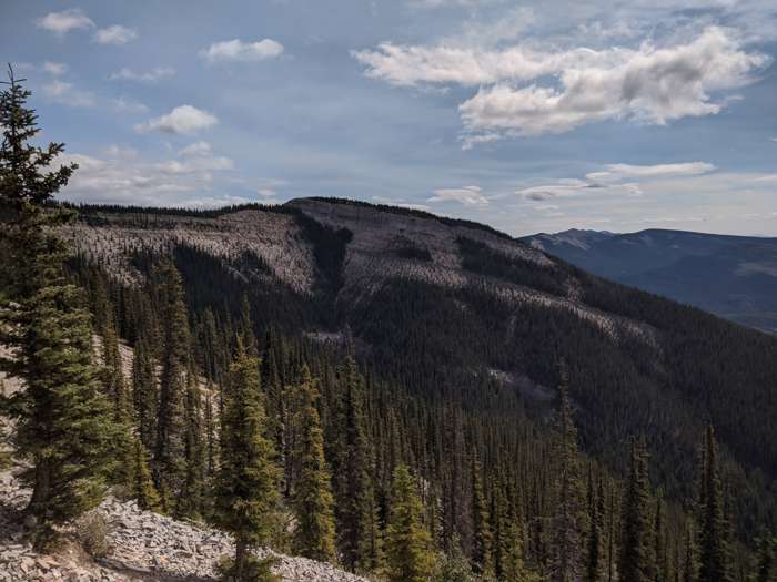 The upper slopes of Coliseum Mountain
