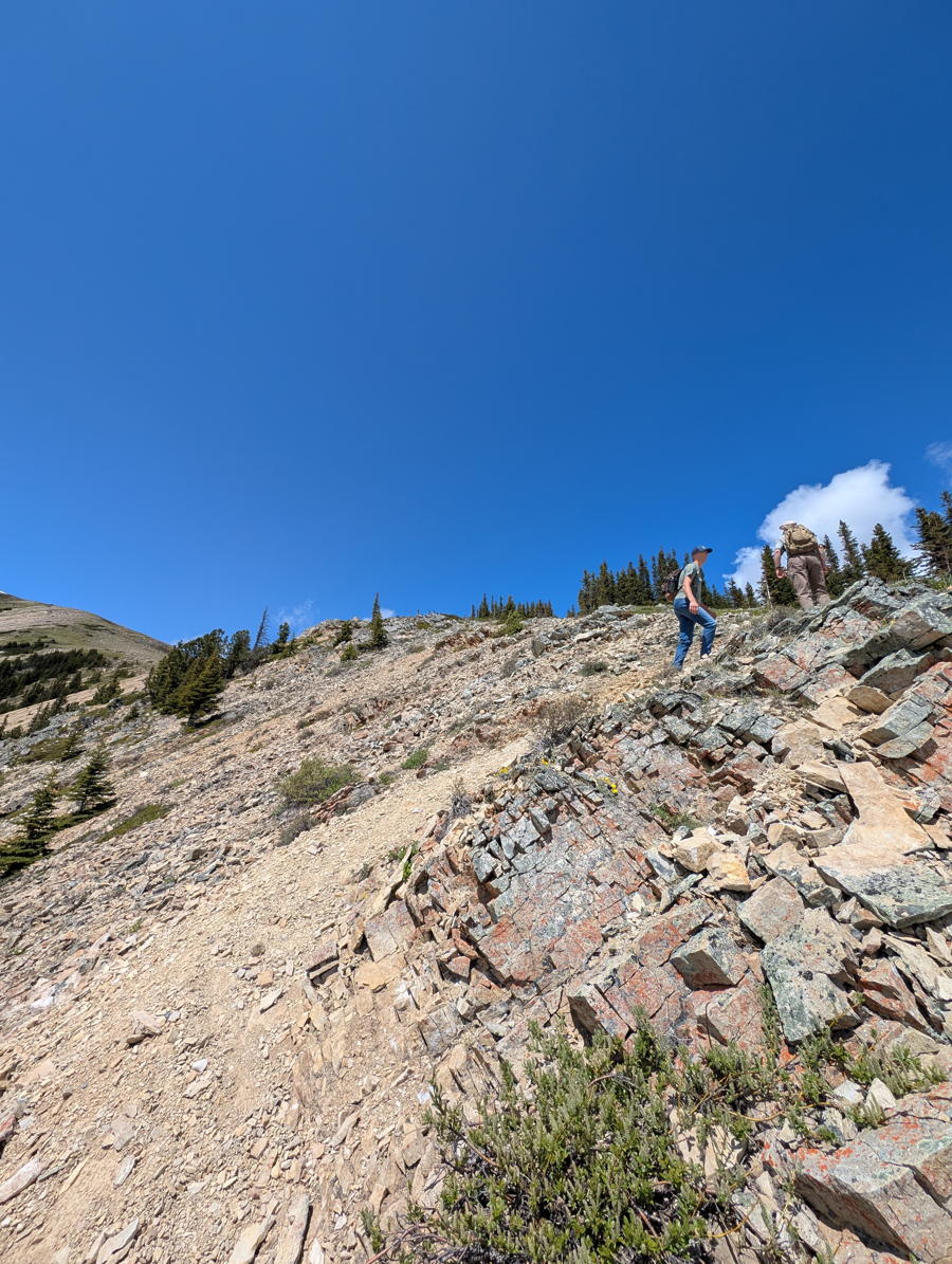 Two hikers work their way up a steep alpine trail