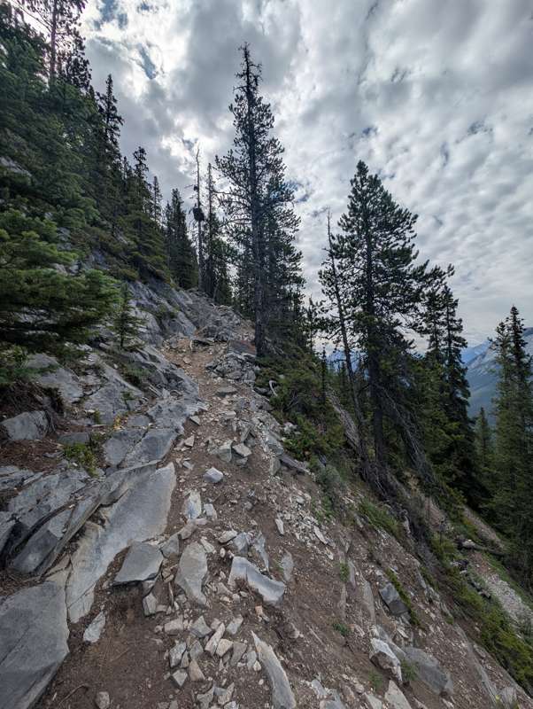 A cliffside trail in the alpine.