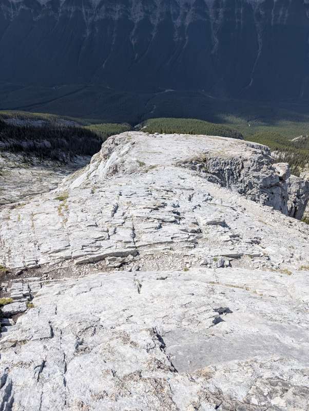 Looking down from Rundle's upper slopes.