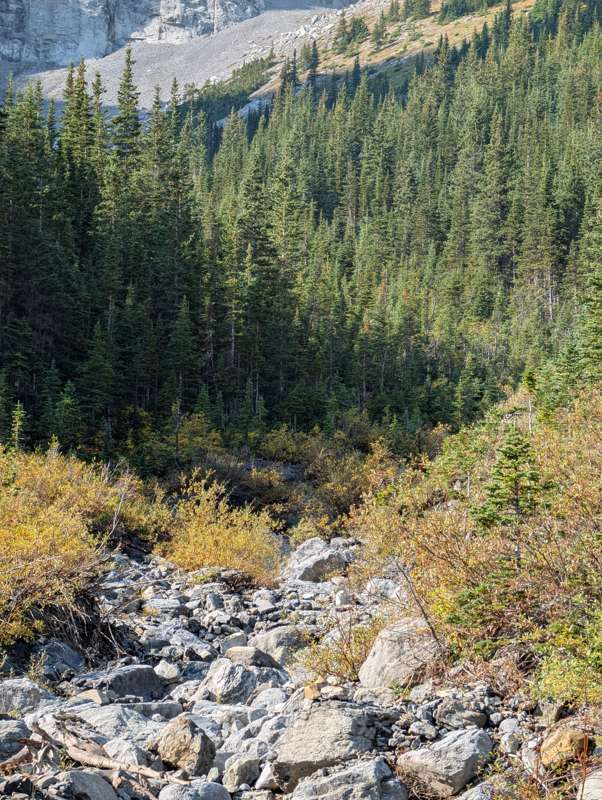 Looking downstream at Stewart Creek.