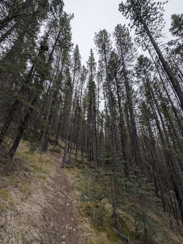 The trail up Grotto Mountain