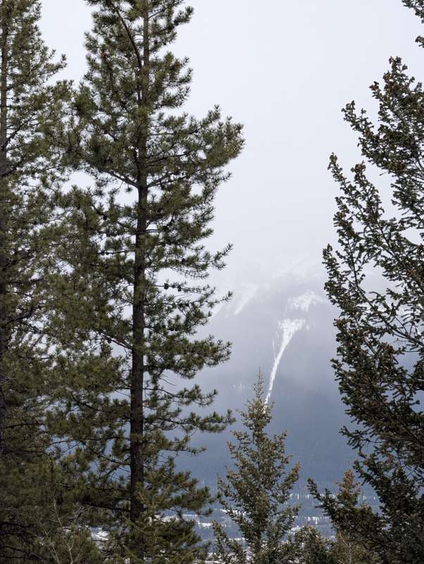 The view from Grotto Peak, shrouded in clouds