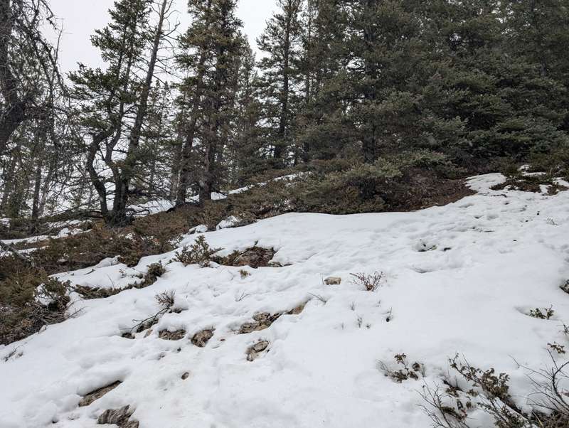 Snow on the slopes of Grotto Mountain