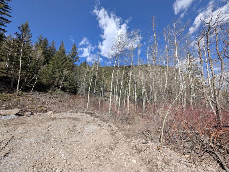 The Exshaw Mountain trailhead