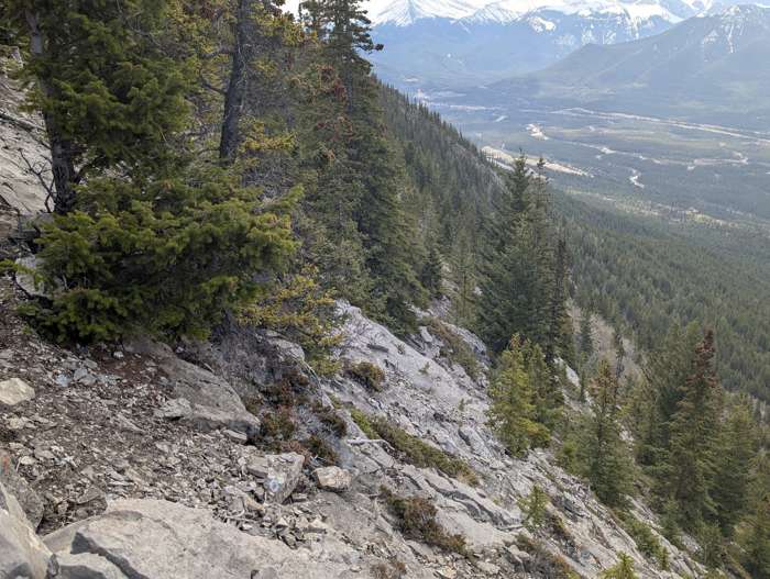 Moderate terrain off-route on Grotto Mountain