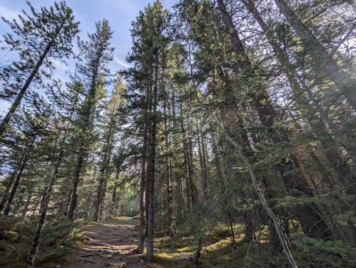 Grotto Mountain trail