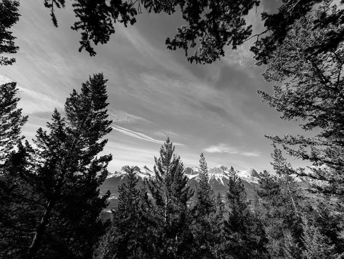 Views over the Bow Valley from Grotto Mountain's lower slopes