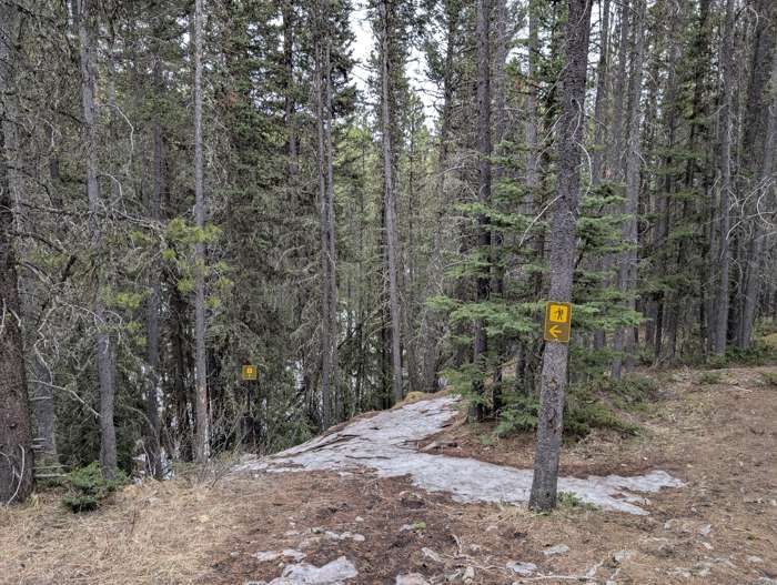 The trail up Stoney Lookout Mountain