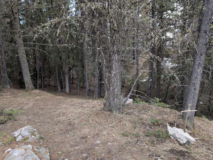 An unofficial trail on Stoney Lookout Mountain