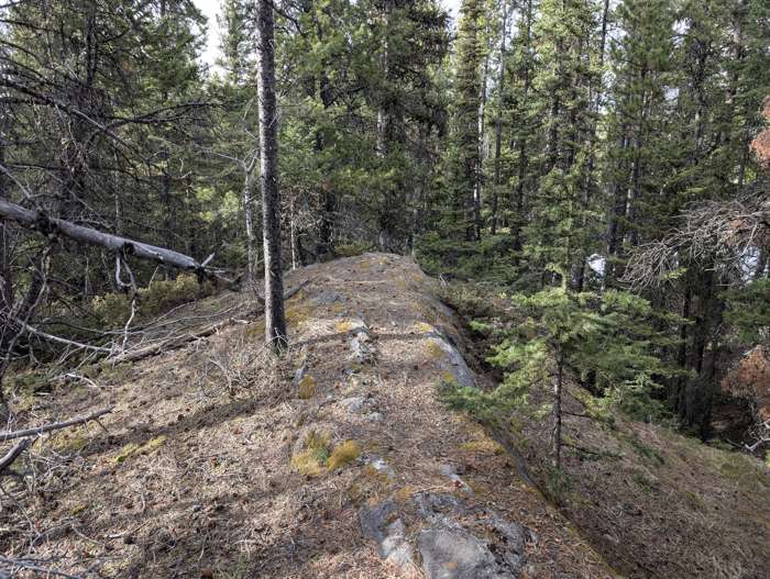 The summit of Stoney Lookout Mountain