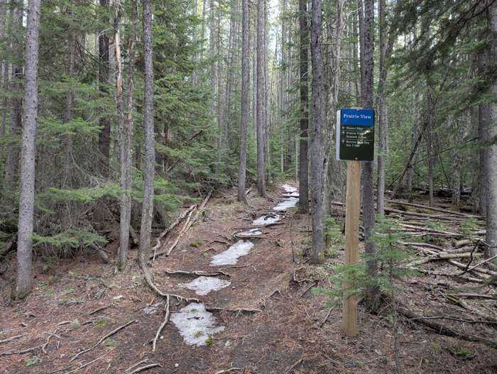 The turnoff for the Razor's Edge MTB trail.