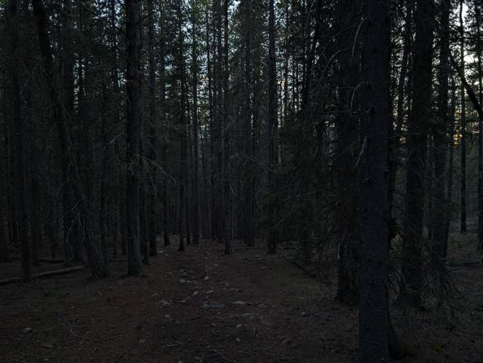 Prairie View trail at night