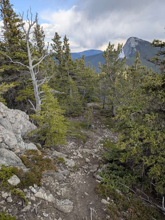 The southwest trail on Engagement Peak
