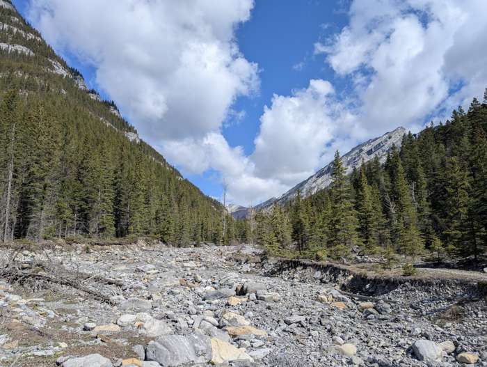 Jura Creek in late spring