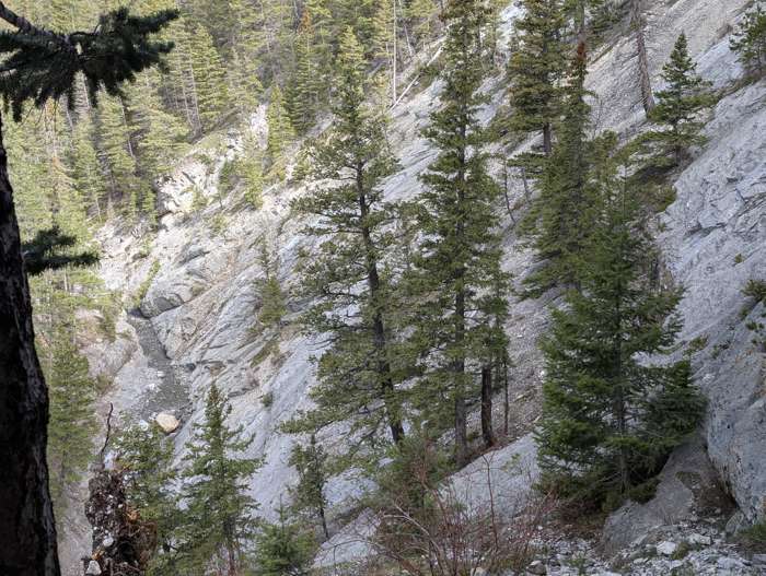 A possible scramble descent route from Jura Cave to the creek below
